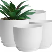 Larger flower/plant pots