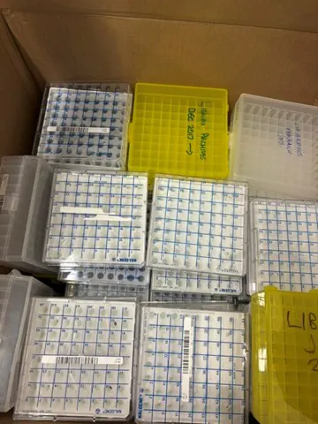 Large Batch Laboratory Component Storage Trays - Approximately 20+ Units