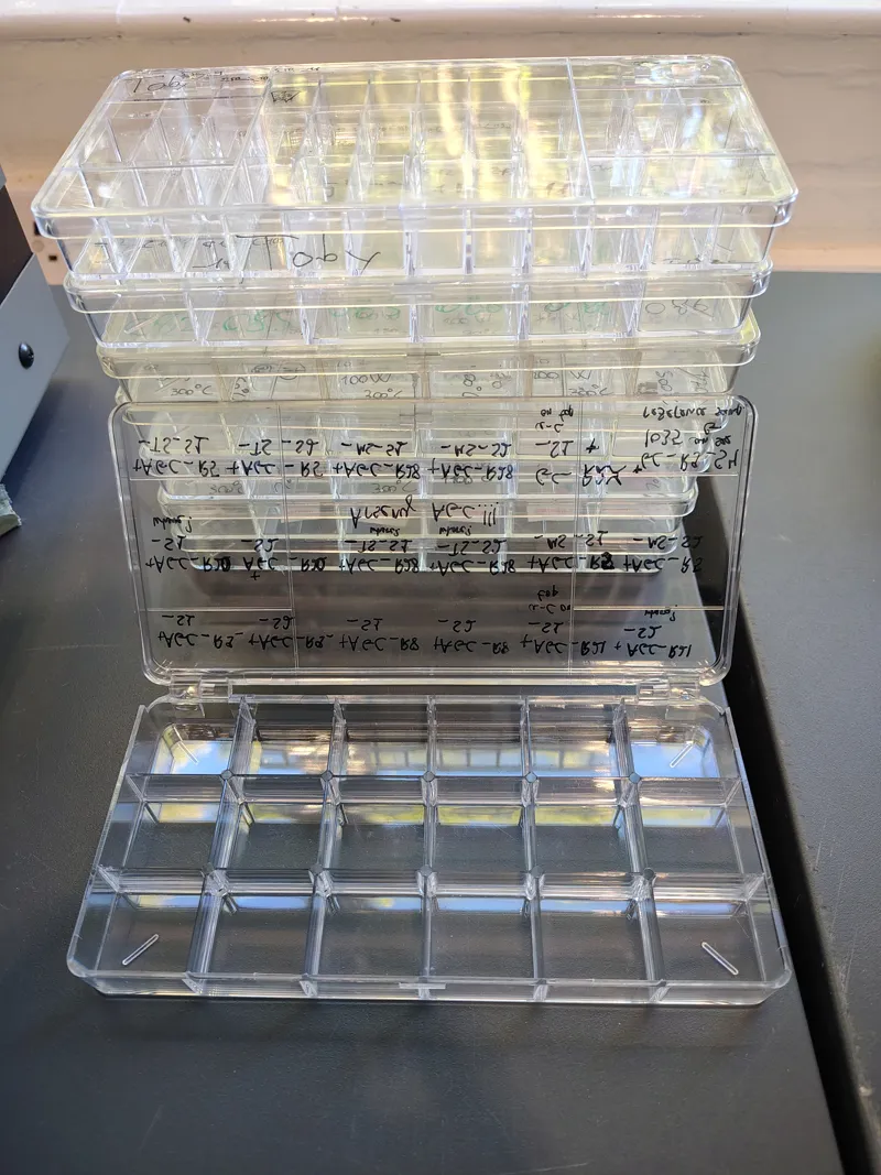 Sample Trays